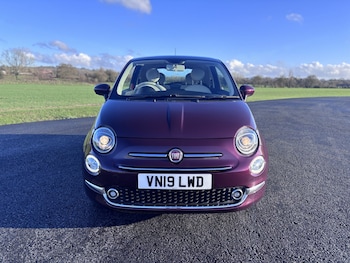 Used Fiat 500 2019 for sale - 77014787: Photo
