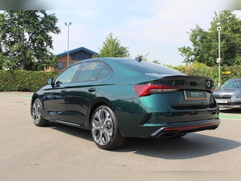 Used Skoda Octavia undefined for sale - 79021583: Photo