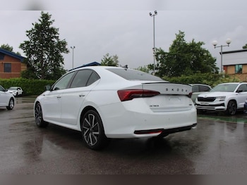 Used Skoda Octavia undefined for sale - 78817905: Photo