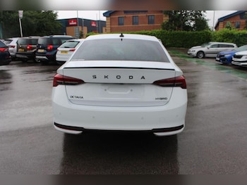 Used Skoda Octavia undefined for sale - 78817905: Photo
