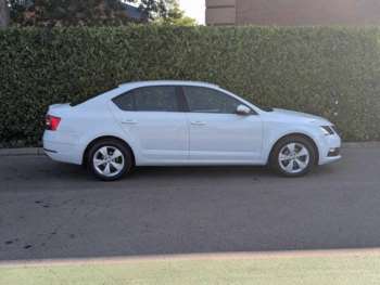 Used Skoda Octavia 2018 for sale - 74858454: Photo