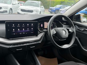Used Skoda Octavia 2024 for sale - 79393962: Photo