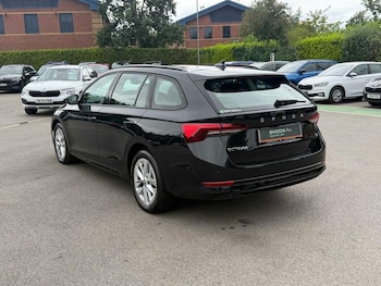 Used Skoda Octavia 2024 for sale - 79393962: Photo