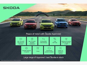 Used Skoda Octavia 2025 for sale - 77619884: Photo