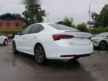 Used Skoda Octavia undefined for sale - 79572270: Photo