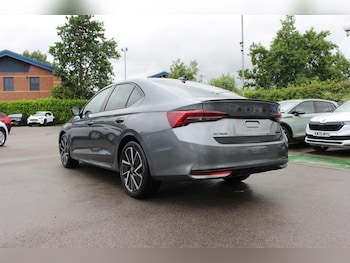 Used Skoda Octavia undefined for sale - 78817916: Photo