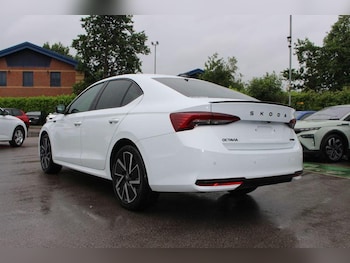 Used Skoda Octavia undefined for sale - 78817914: Photo