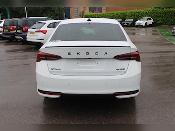 Used Skoda Octavia undefined for sale - 78817914: Photo