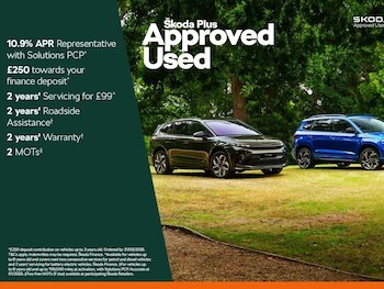 Used Skoda Fabia 2019 for sale - 77225770: Photo