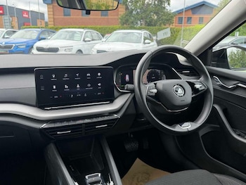Used Skoda Octavia 2024 for sale - 79393963: Photo