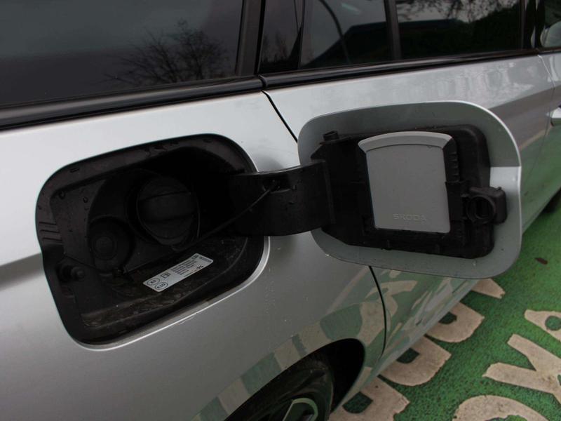 Used Skoda Octavia 2025 for sale - 76984828: Photo 18