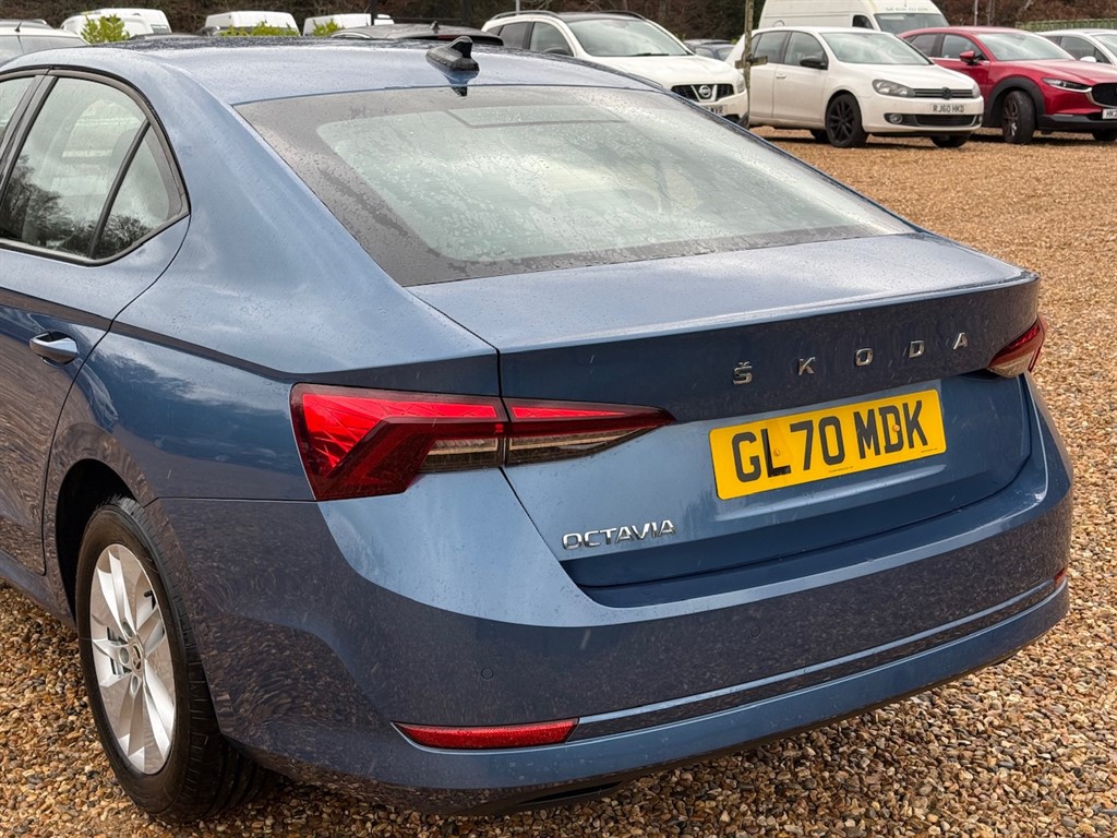 Used Skoda Octavia 2020 for sale - 76818056: Photo 10