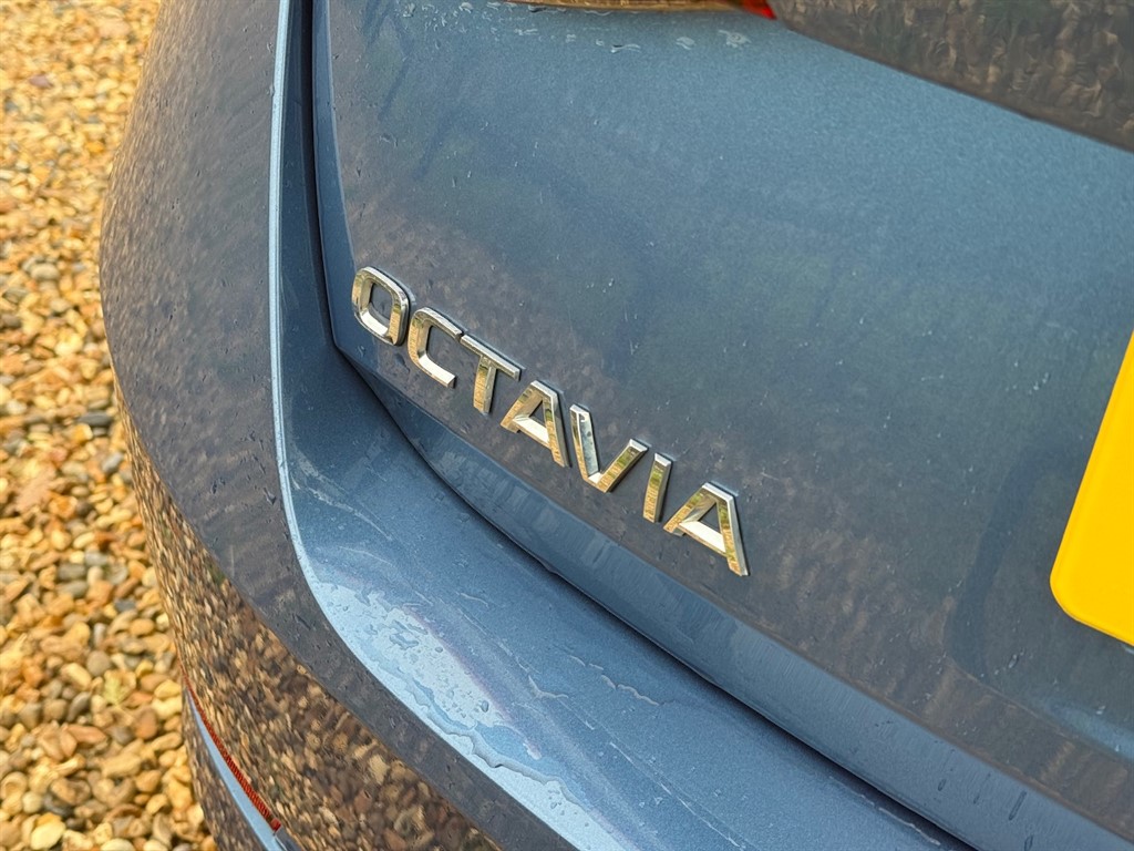 Used Skoda Octavia 2020 for sale - 76818056: Photo 13
