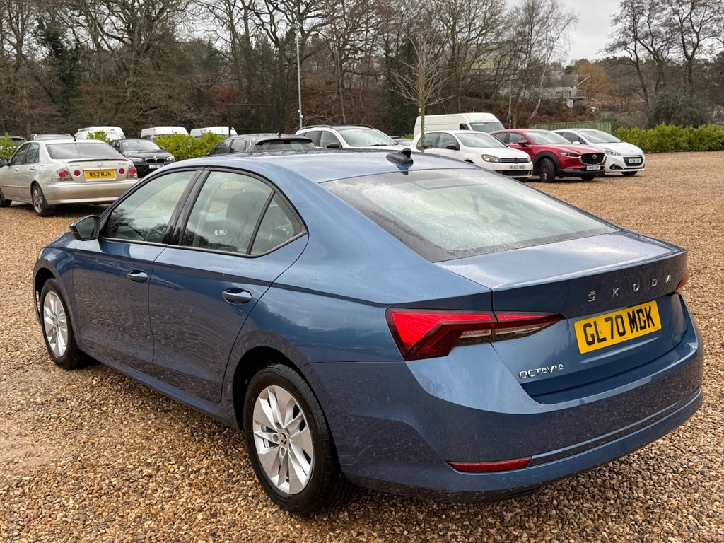 Used Skoda Octavia 2020 for sale - 76818056: Photo 9