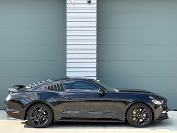 Used Ford Mustang 2017 for sale - 79612019: Photo