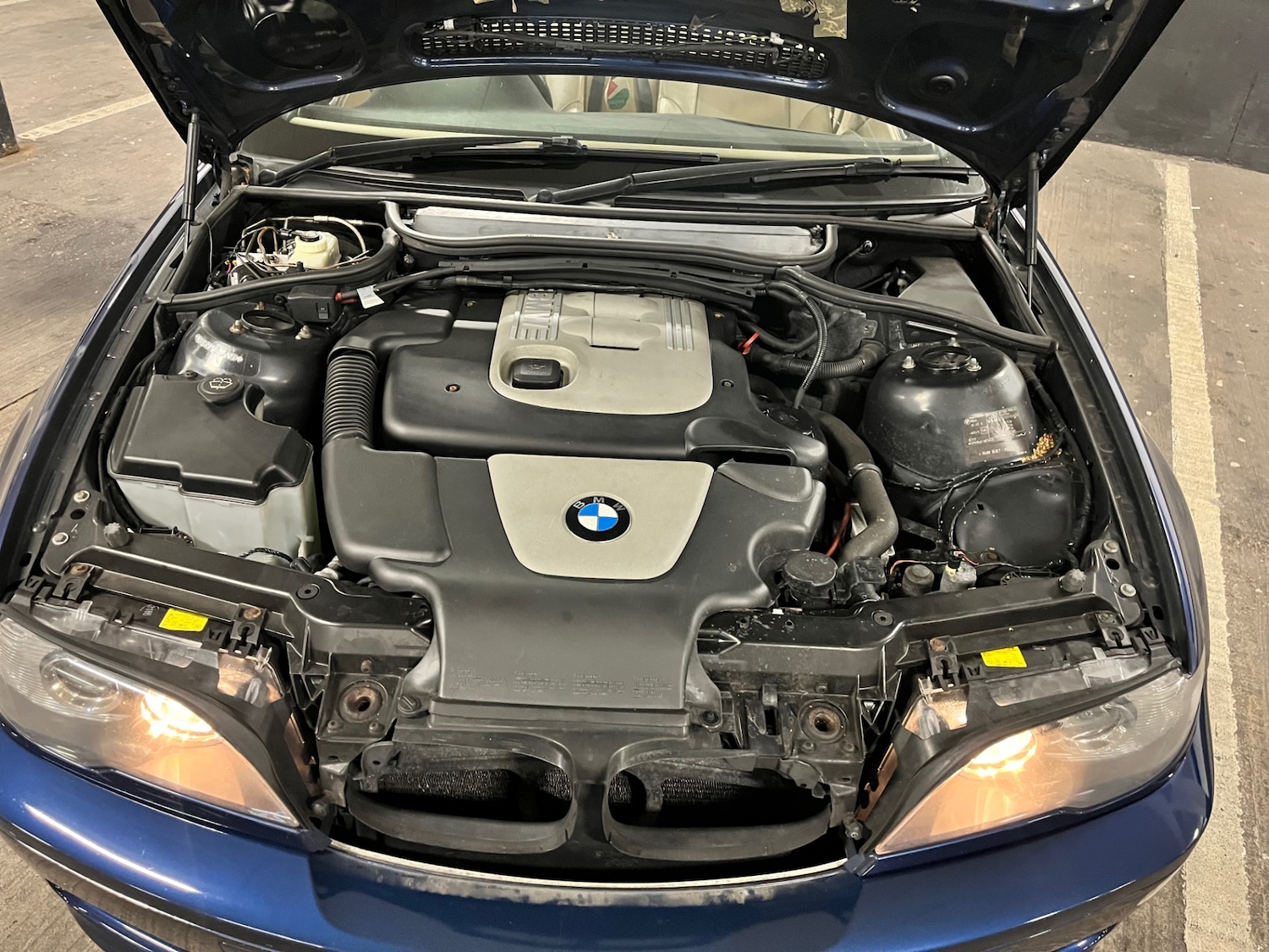 Used BMW 3 Series 2006 for sale - 76257987: Photo 12