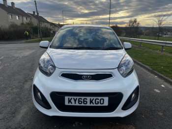 Used Kia Picanto 2016 for sale - 74677950: Photo