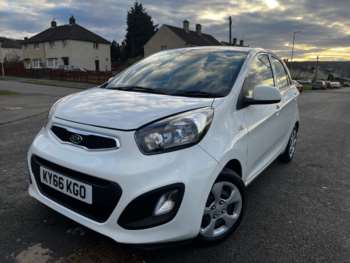 Used Kia Picanto 2016 for sale - 74677950: Photo