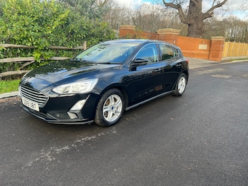Used Ford Focus 2019 for sale - 77186514: Photo