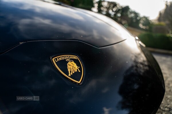 Used Lamborghini Huracan 2018 for sale - 77785166: Photo 30