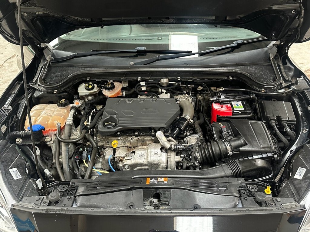 Used Ford Focus 2019 for sale - 76417205: Photo 13