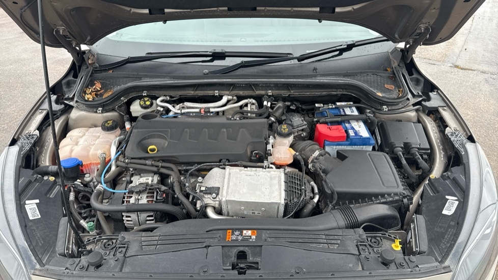 Used Ford Focus 2019 for sale - 76519441: Photo 16