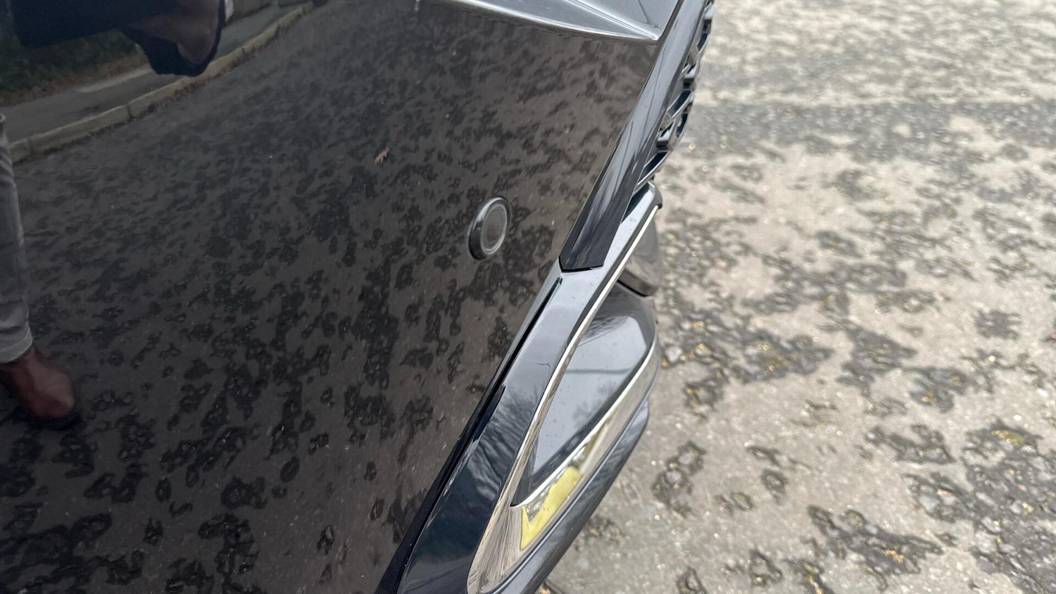 Used Toyota Corolla 2025 for sale - 77637679: Photo 37