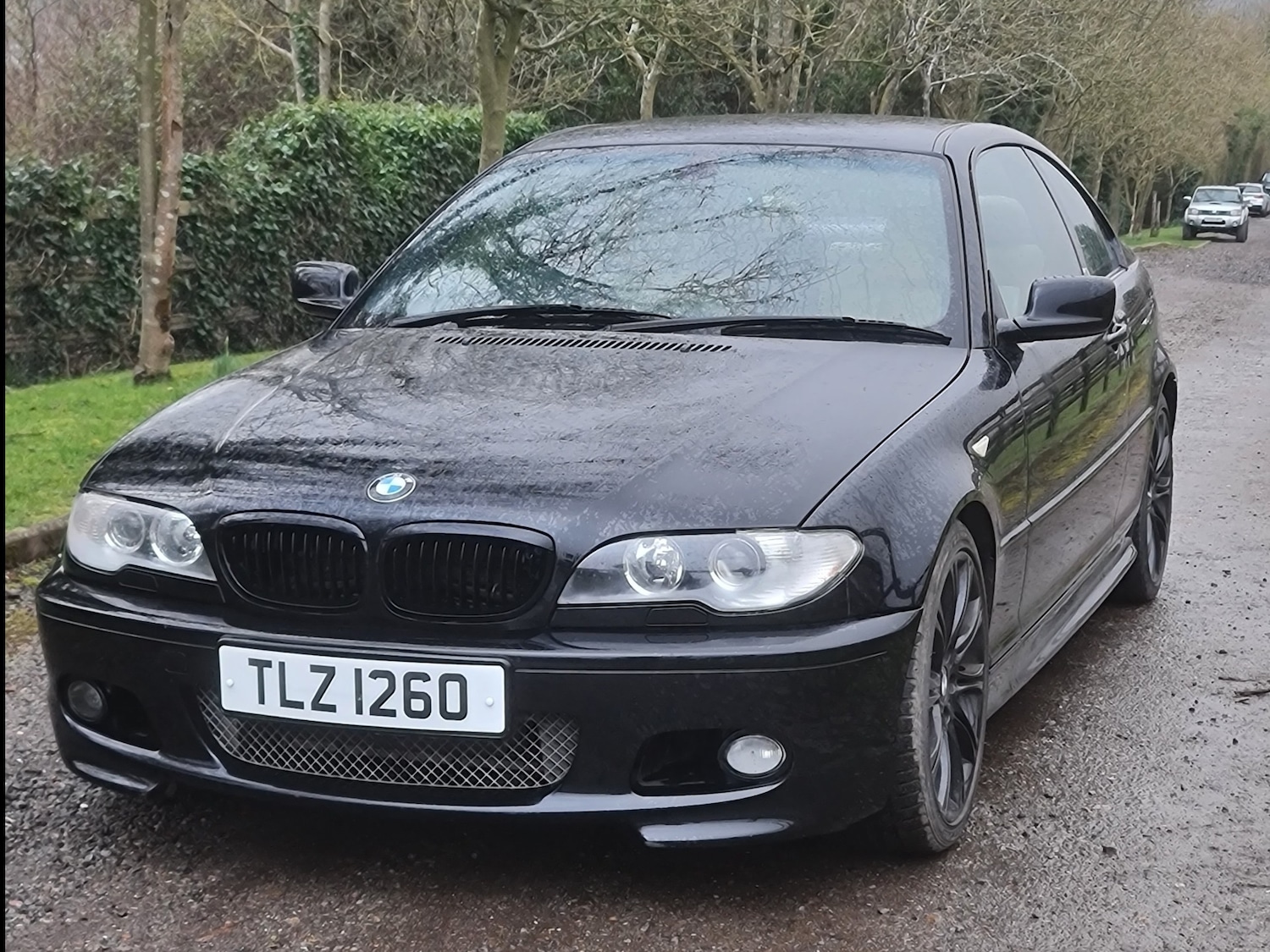Used BMW 3 Series 2004 for sale - 70278439: Photo 9