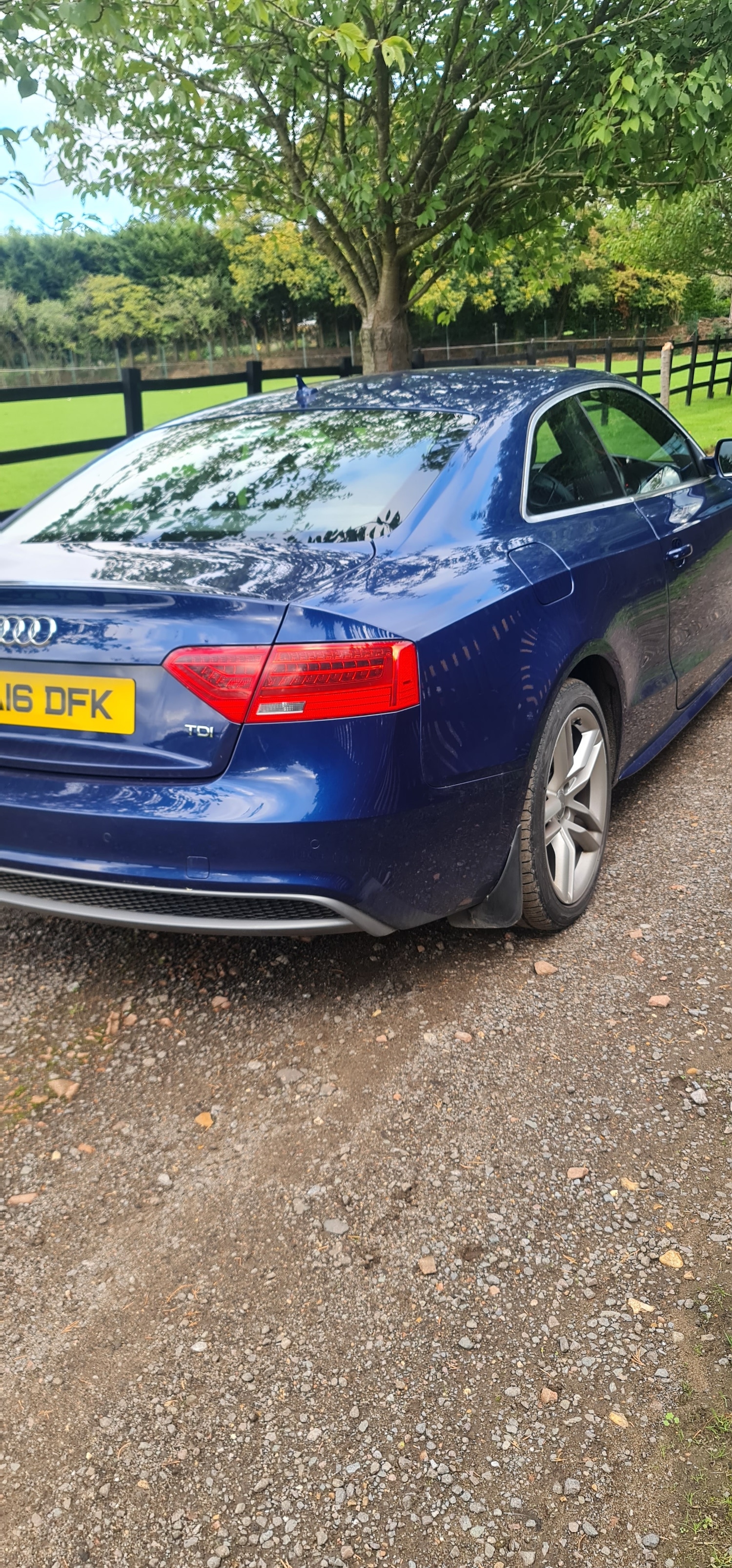 Used Audi A5 2016 for sale - 76079922: Photo 12