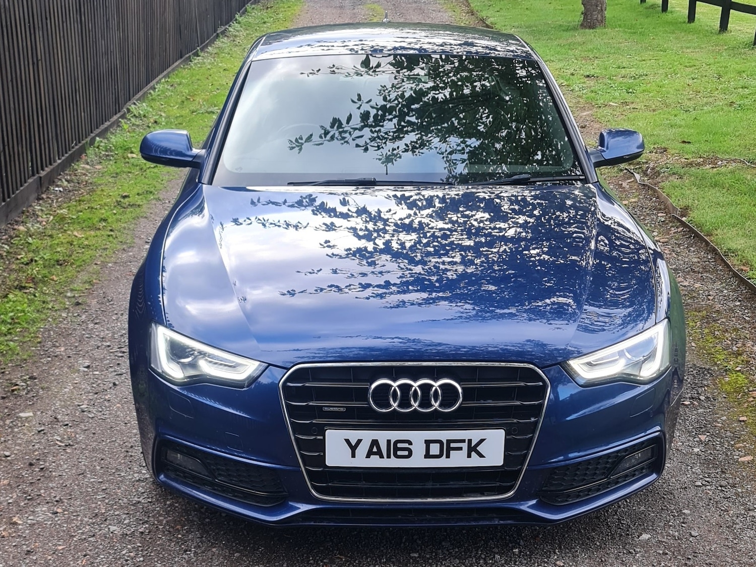 Used Audi A5 2016 for sale - 76079922: Photo 6