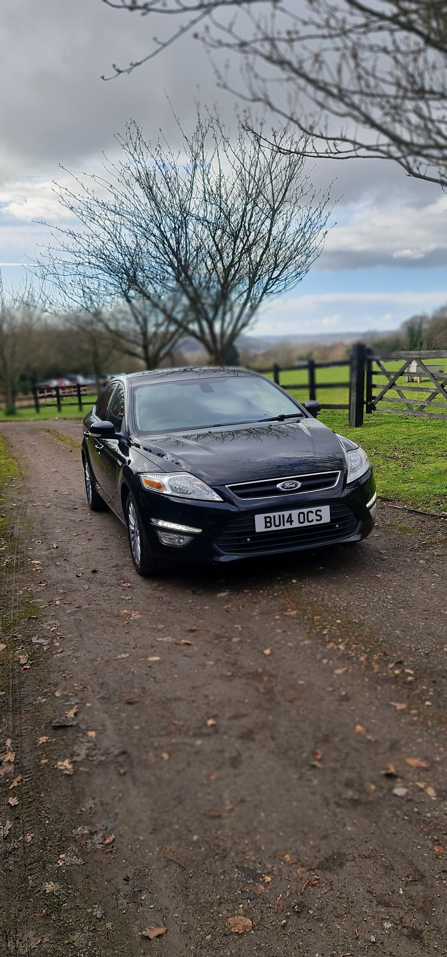 Used Ford Mondeo 2014 for sale - 77878590: Photo 11