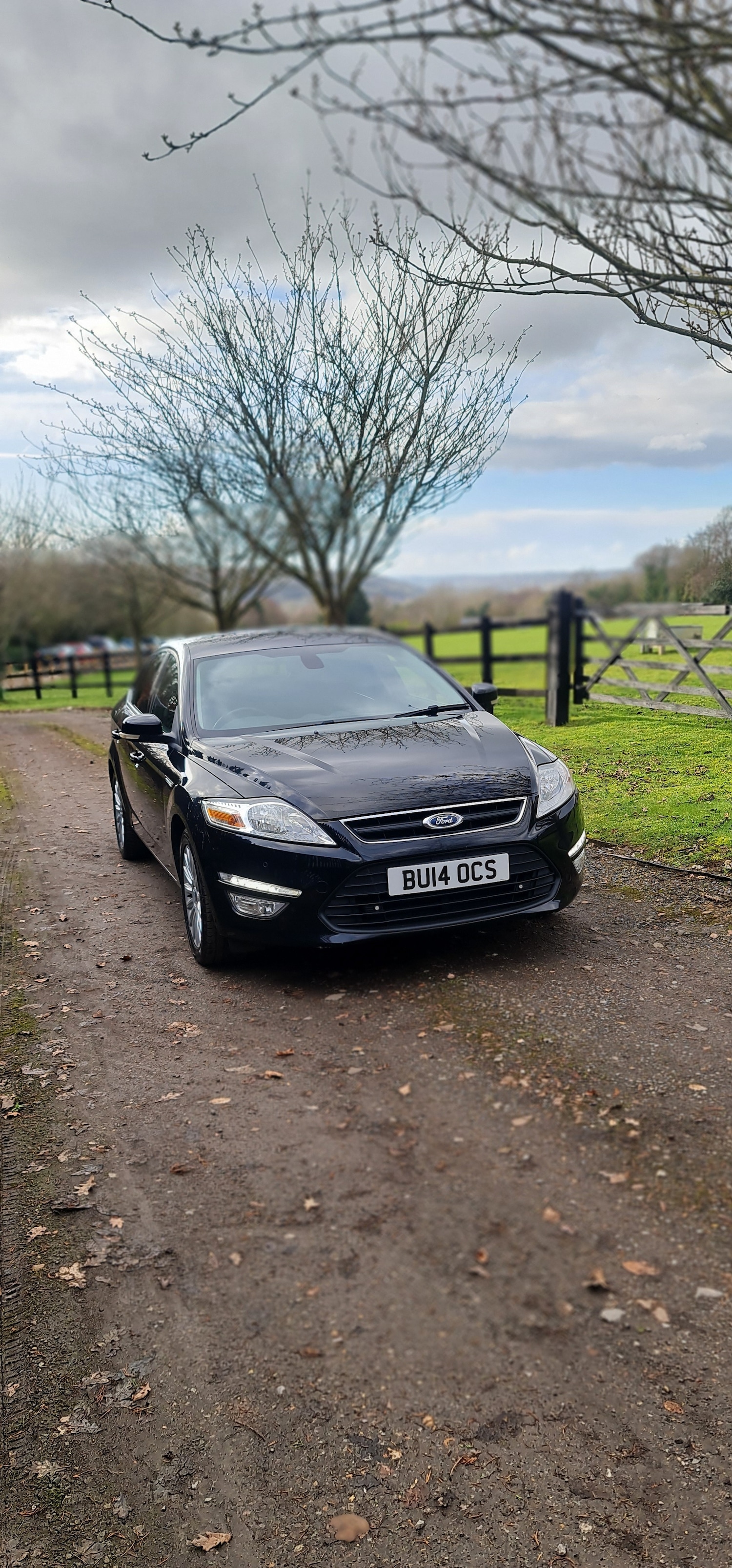 Used Ford Mondeo 2014 for sale - 77878590: Photo 4