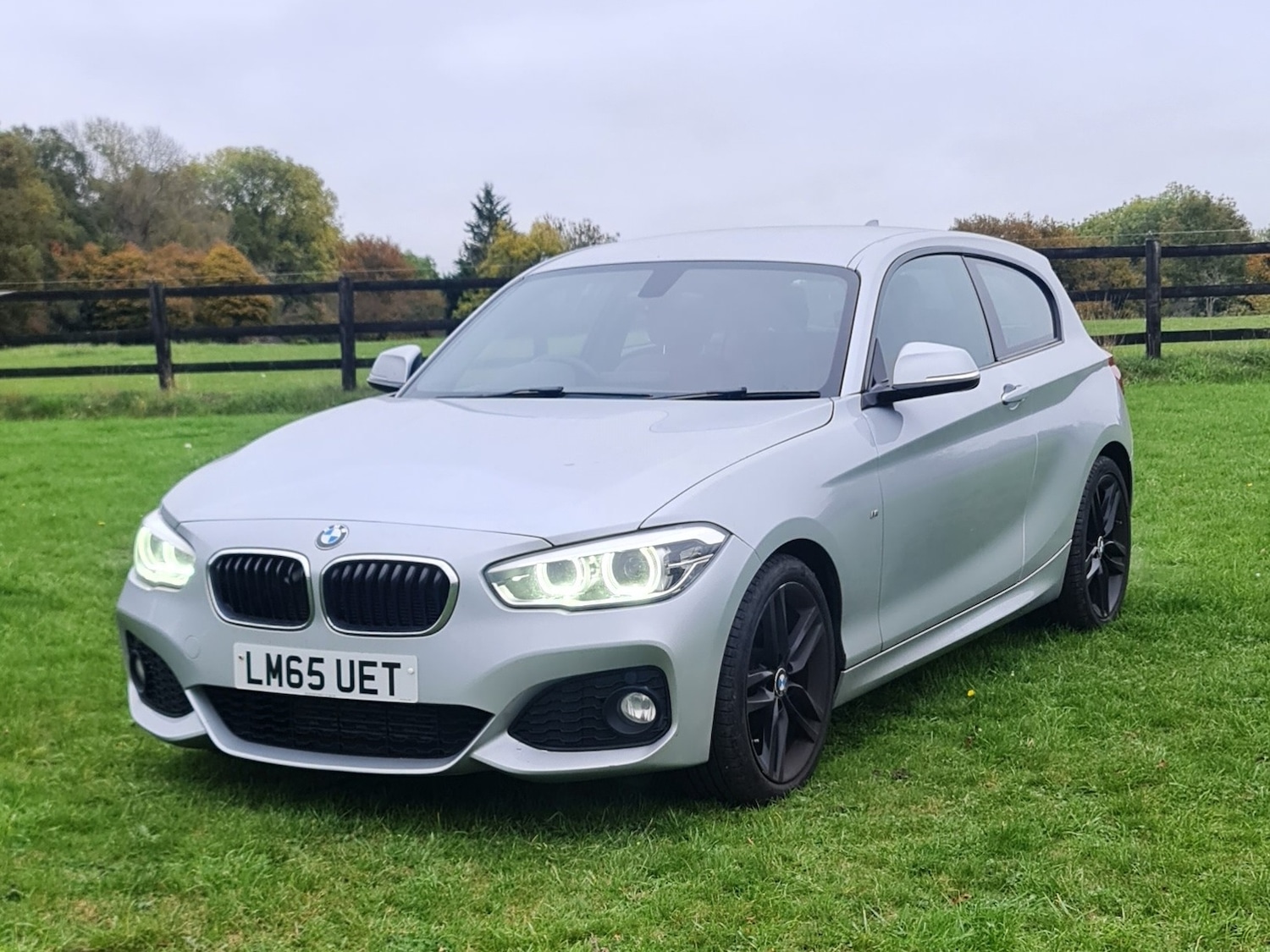 Used BMW 1 Series 2015 for sale - 76077867: Photo 39