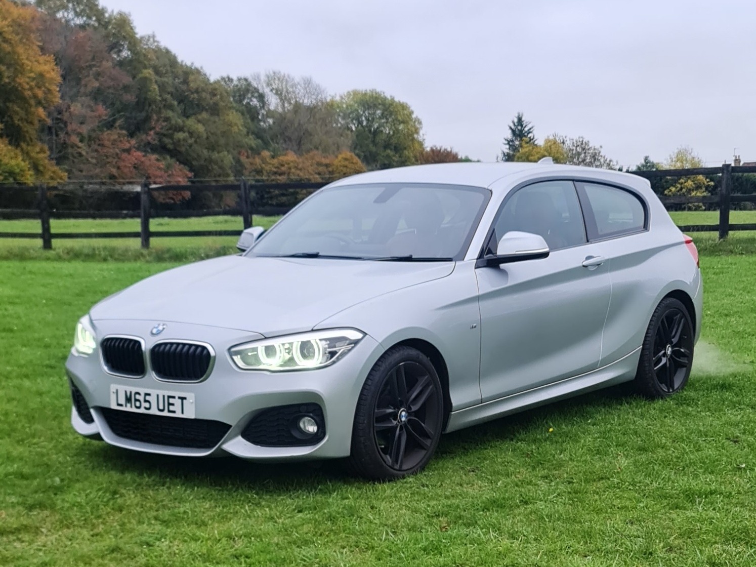 Used BMW 1 Series 2015 for sale - 76077867: Photo 41