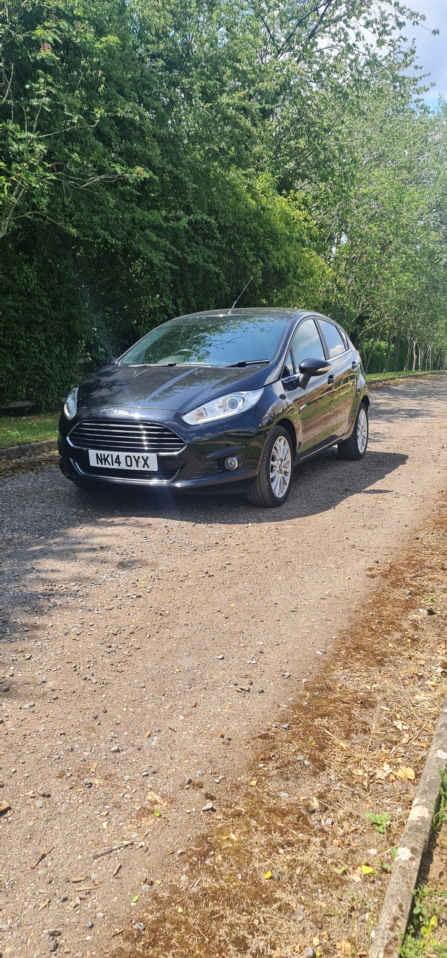 Used Ford Fiesta 2014 for sale - 76766601: Photo 32