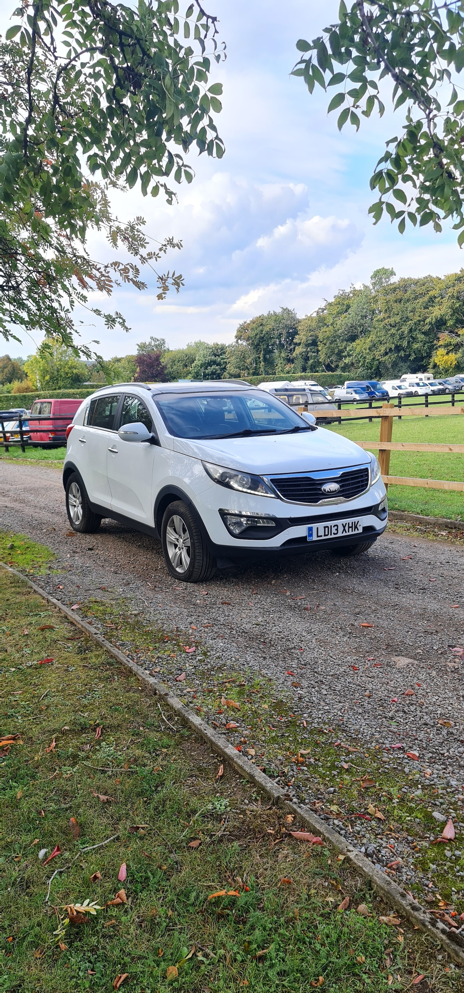 Used Kia Sportage 2013 for sale - 76065726: Photo 6