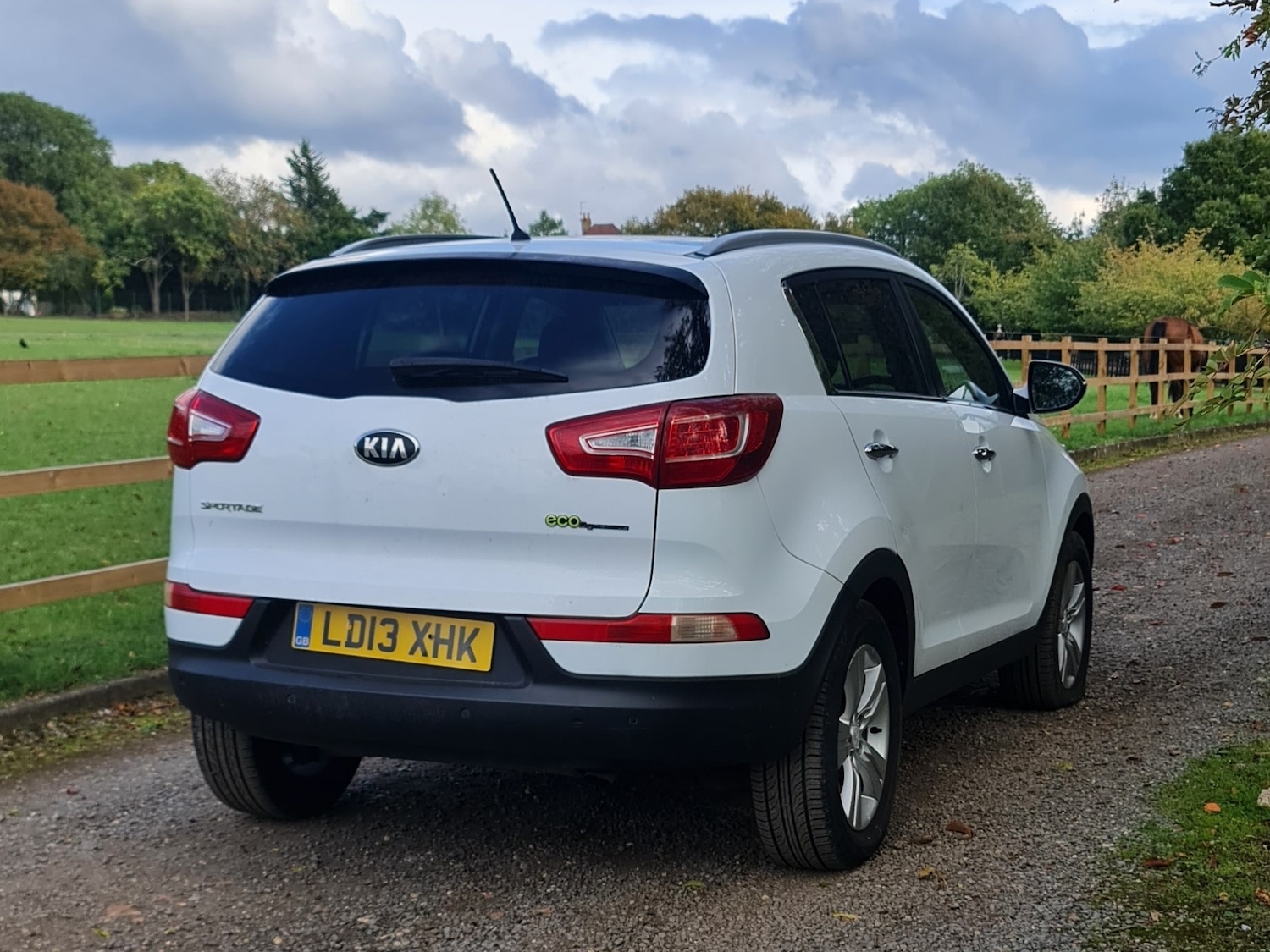 Used Kia Sportage 2013 for sale - 76065726: Photo 9