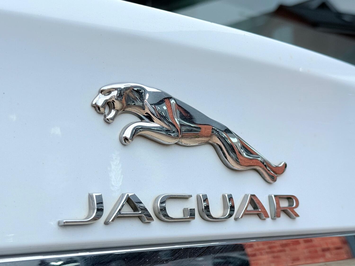 Used Jaguar XF 2016 for sale - 76011469: Photo 24