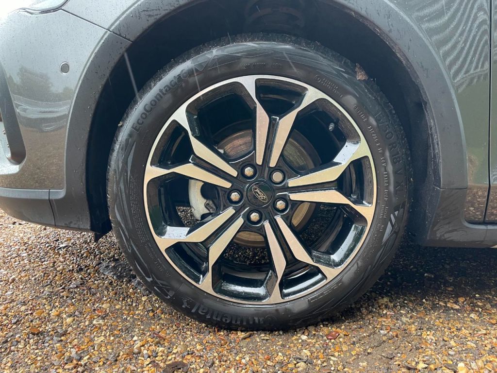 Used Ford Focus 2024 for sale - 77779547: Photo 12