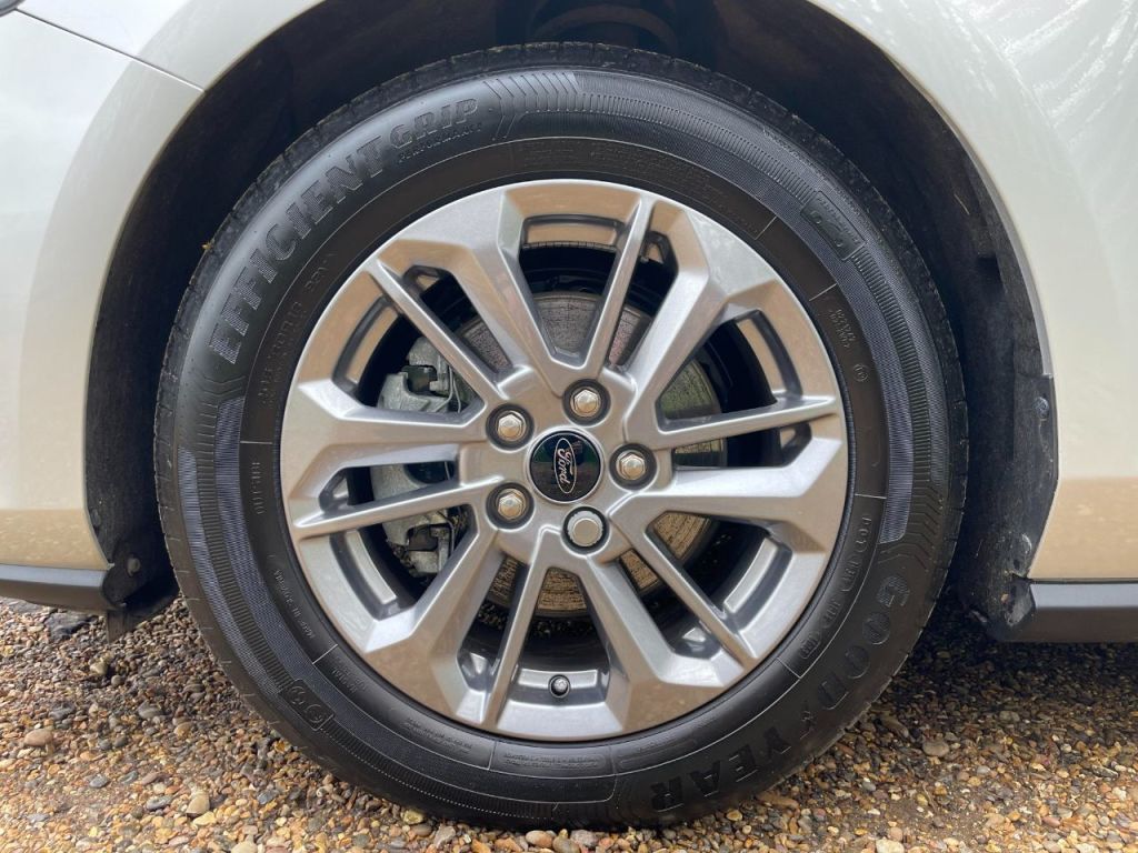 Used Ford Focus 2024 for sale - 76961735: Photo 14