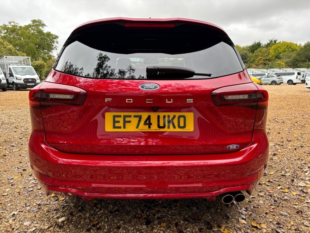 Used Ford Focus 2024 for sale - 76576762: Photo 11