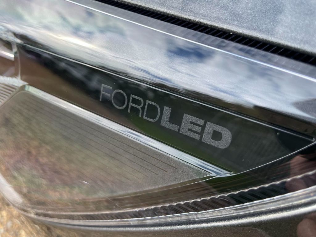 Used Ford Focus 2024 for sale - 76576776: Photo 13