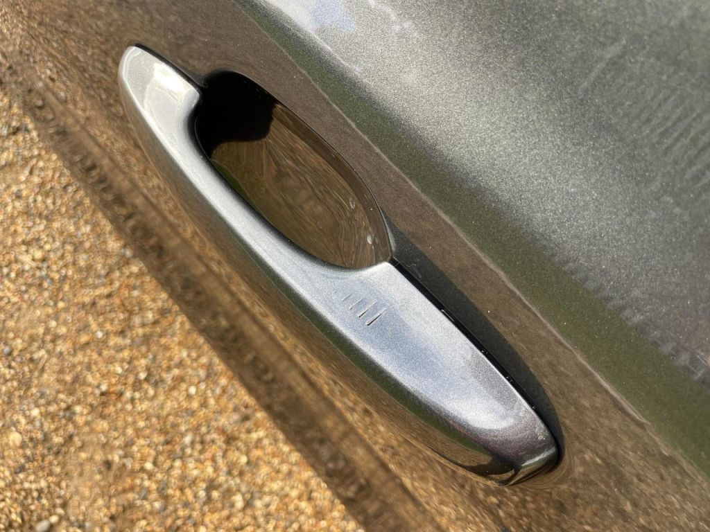 Used Ford Focus 2024 for sale - 76576776: Photo 15