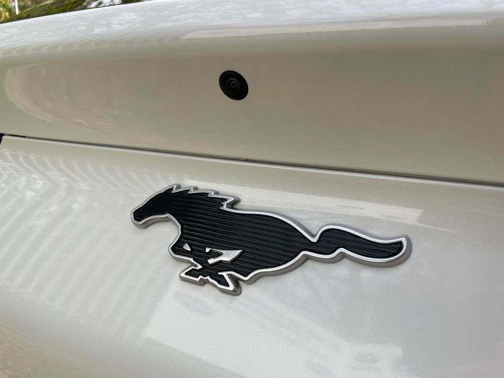 Used Ford Mustang Mach-E 2023 for sale - 76576771: Photo 14