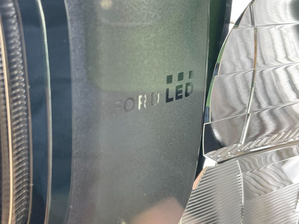 Used Ford Ranger 2024 for sale - 77301569: Photo 12