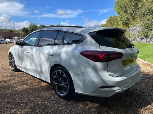 Used Ford Focus 2024 for sale - 77779551: Photo 7