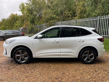 Used Ford Kuga 2024 for sale - 76576811: Photo