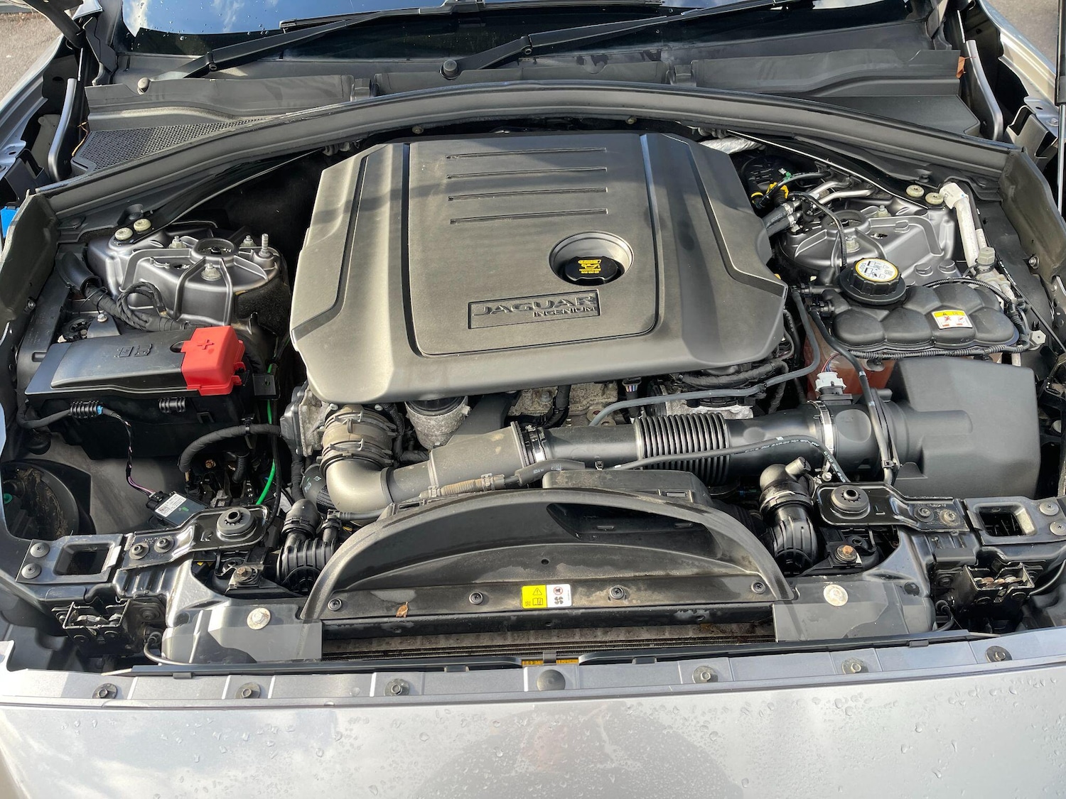 Used Jaguar F-Pace 2020 for sale - 76381007: Photo 24