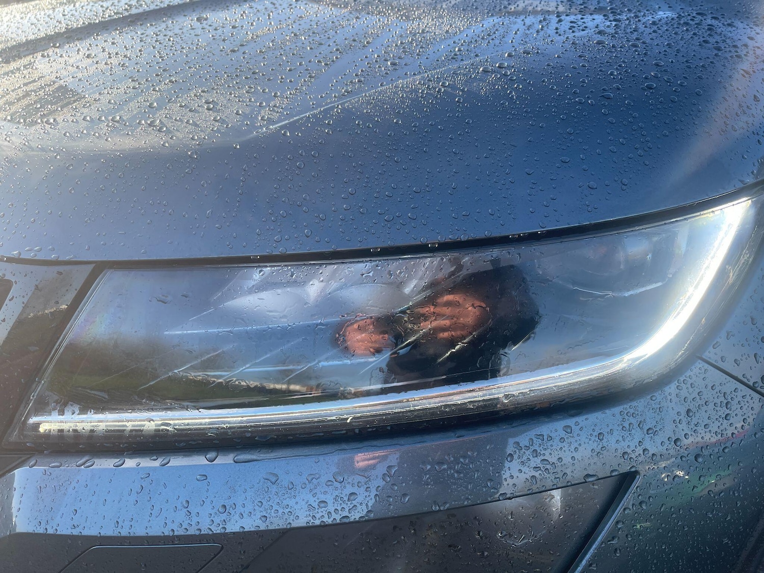 Used Skoda Kodiaq 2021 for sale - 77238257: Photo 44