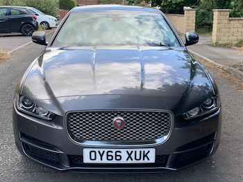 Used Jaguar XE 2016 for sale - 79348281: Photo